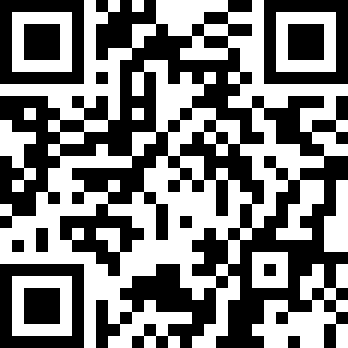 口袋莫蒂汉化版