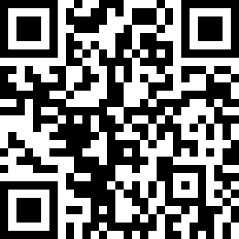 口袋莫蒂汉化版