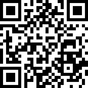 口袋莫蒂汉化版