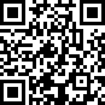 口袋莫蒂汉化版