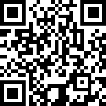 搏击长空风：暴特工队