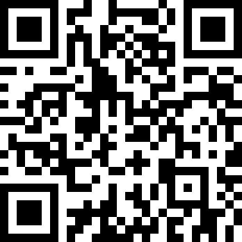 口袋莫蒂汉化版